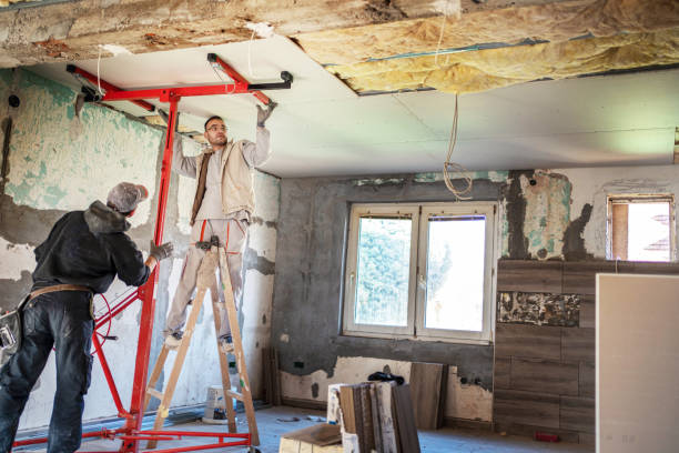 Best Best Insulation Companies  in Bonny Doon, CA